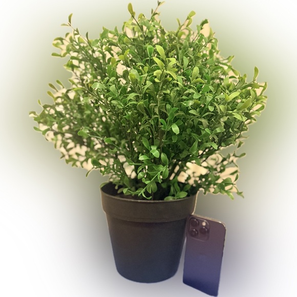 [NWT] New Lush Artificial Potted Plant in Modern Black Pot - Indoor Decor - Picture 2 of 5